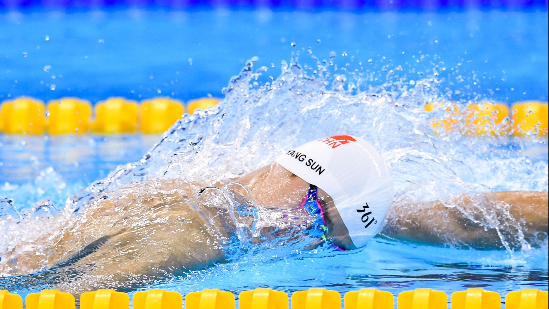 意大利马术协会推出马术运动员心理辅导项目，提升竞技表现。，意大利的马